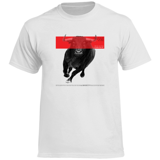 TORO T-SHIRT